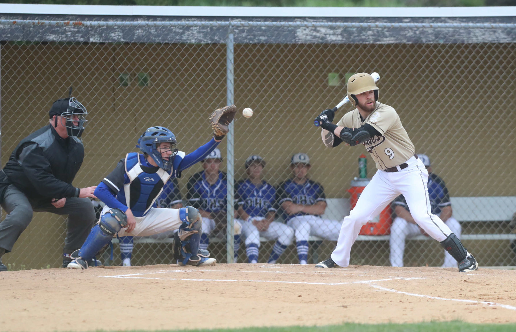 050219_gal_gamibaseball